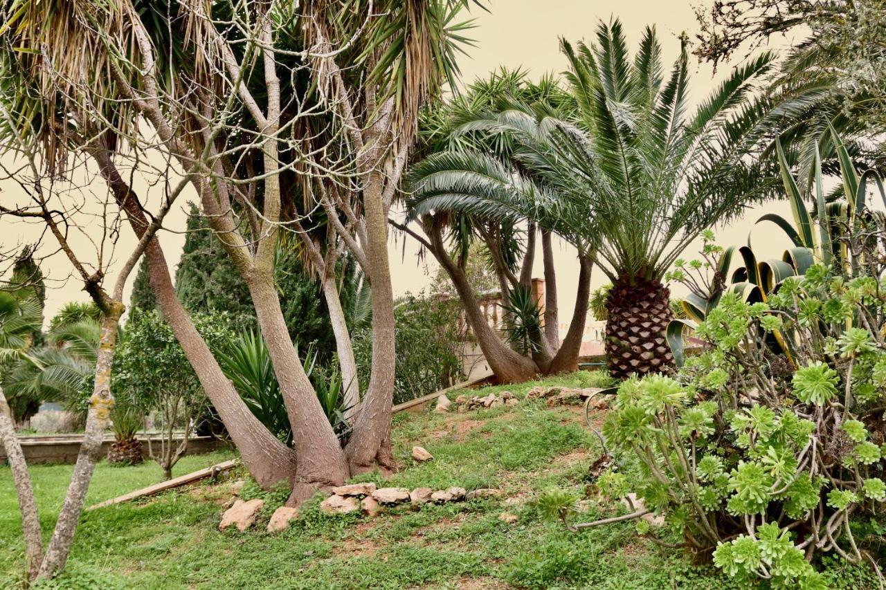 Finca Randa, Llucmayor, bis 3 SZ, Pool, Garten Llucmajor  Exterior foto