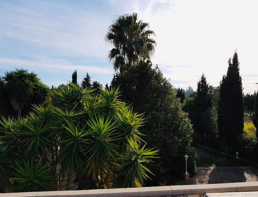 Finca Randa, Llucmayor, bis 3 SZ, Pool, Garten Llucmajor  Exterior foto